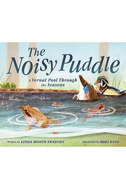 Owlkids Books Balta zgomotoasă: o baltă de primăvară de-a lungul anotimpurilor