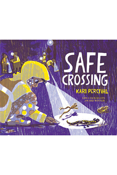 Chronicle Books Trecerea în siguranță