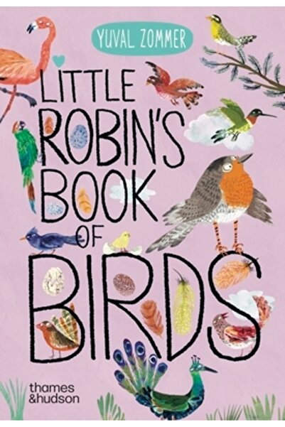 Thames & Hudson Cartea păsărilor micului Robin