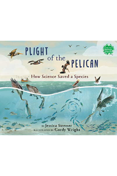 Holiday House Inc Soarta pelicanului: Cum a salvat știința o specie