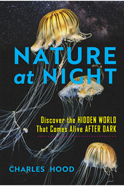 Timber Pr Inc Natura noaptea: Descoperă lumea ascunsă care prinde viață după ...