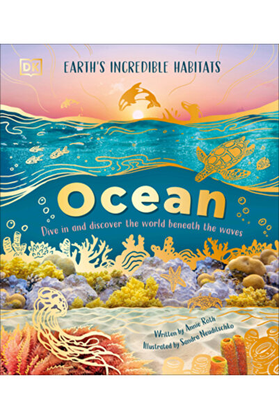 Dk Pub Ocean: Scufundă-te și descoperă lumea de sub valuri