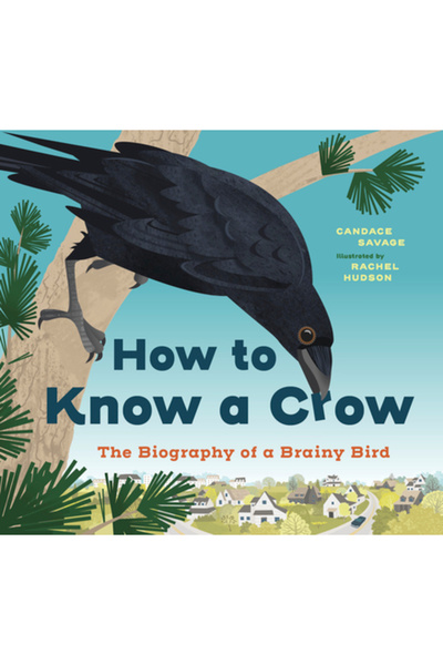 Greystone Kids Cum să cunoști o cioară: Biografia unei păsări inteligente