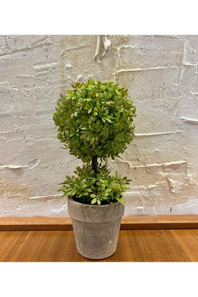 FB Cup Minimalist Çift Katlı Yeşim Topiary Aranjmanı (24 cm x 10 cm)