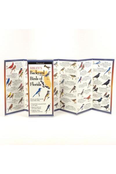 Univ Of Pennsylvania Pr Înapoiul lui Sibley. Păsări din Florida