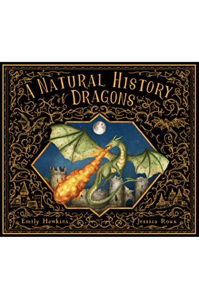 FRANCES LINCOLN O istorie a dragonilor