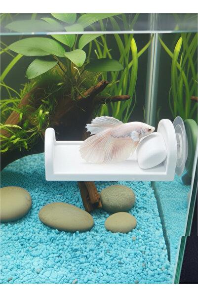 Akvaryum Beta Dinlenme Alanı ⬢ Mini Yastıklı Yatak ⬢ Beyaz ⬢ Beta Halfmoon , ...