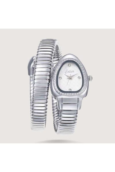 Louis Nice Women's watch with a silver wrap