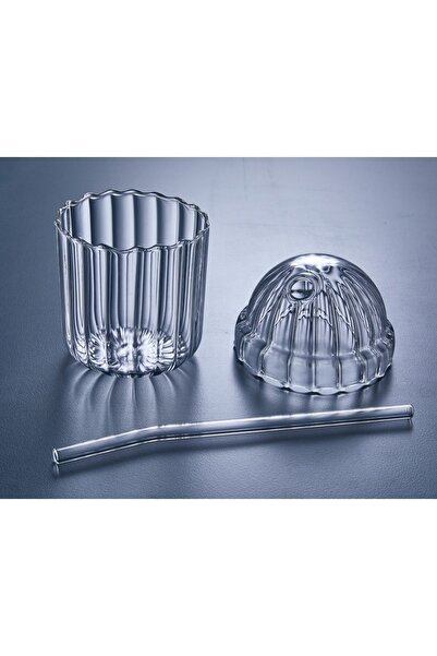 MİMOZA PARK 1 Adet Cam Oval Kapaklı Isıya Dayanıklı Pinterest Bardak | Kahve Ve Sunum Bardağı| 430 ml