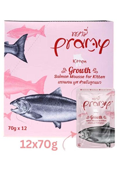 BRAMİA Wet Cat Food with Salmon Flavor for Kittens - 12 Pack of 70g