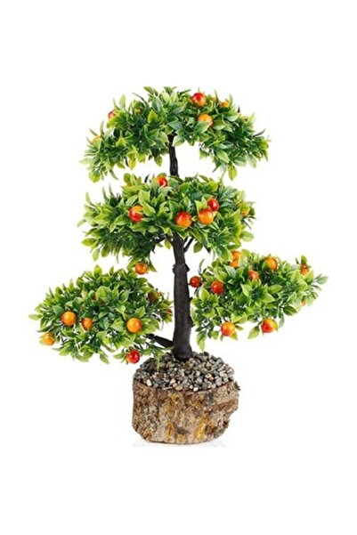 prestijiseed 2 Adet Bodur Bonsai Erik Ağacı Tohumu