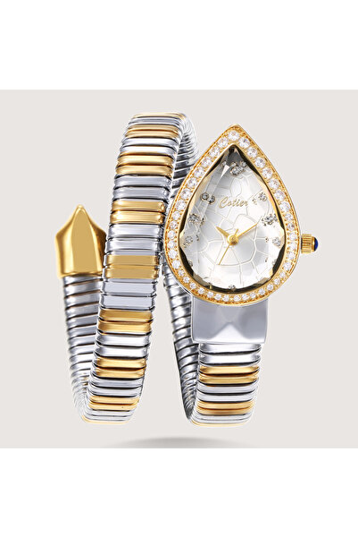 Louis Nice Women's silver and gold watch with a white diamond dial