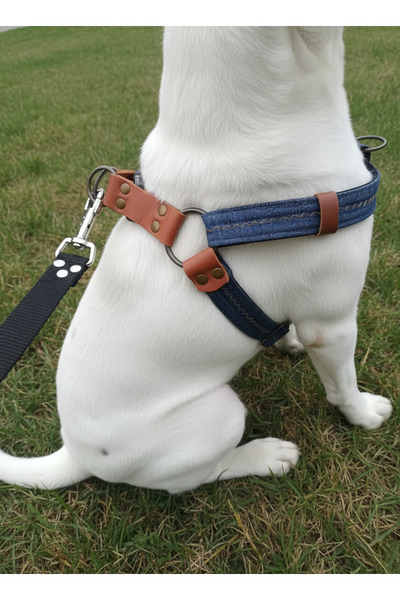 balkonda Dog Harness Front, Back Pull Adjustable Medium and Large Breed Denim Blue