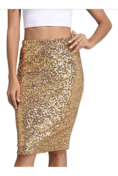 Gümüş Koleksiyon kalem payet etek