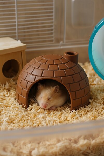 J×HEM Hamster Evi Hamster Yuvası Hamster Kafesi için Dekoratif Ev