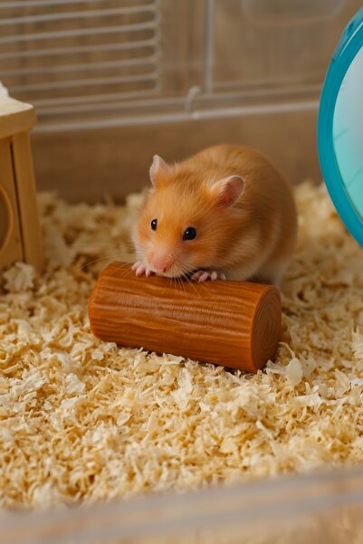 J×HEM Hamster Oyuncagı Diş Sağlıgı için Önerilir. Yavru ve Yetişkin Hamsterla...