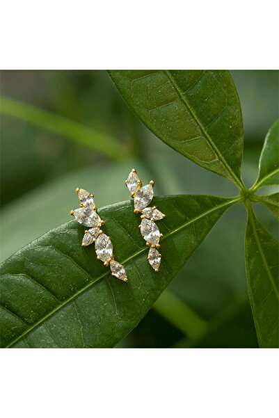 Choice أقراط أذن أنيقة بتصميم متسلق من هويتان E2324 للنساء، إكسسوارات ثقب الأ...