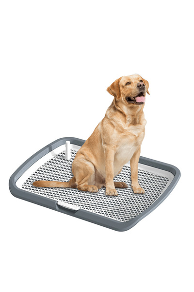 Sumkyle Large 66x50cm Dog Potty Tray, Indoor Pet Pee Pad Holder with Mesh Floor