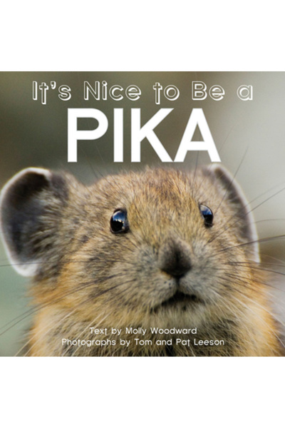 Cambridge Univ Pr E plăcut să fii Pika