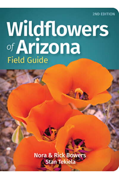 Adventurekeen Ghid de teren pentru flori sălbatice din Arizona