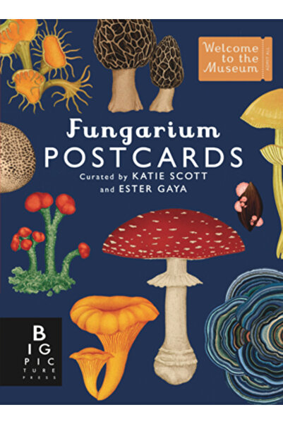 Big Picture Pr Set cutie cu cărți poștale Fungarium