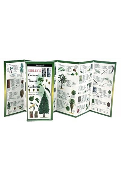 BIBLIOBAZAAR Copacii din California ai lui Sibley