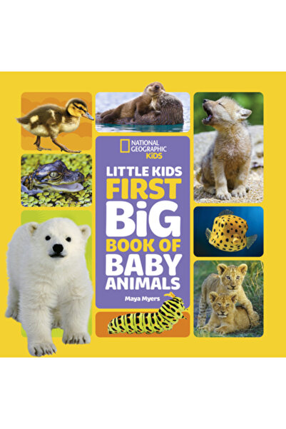 Natl Geographic Soc Prima carte mare despre puii de animale pentru copiii mici
