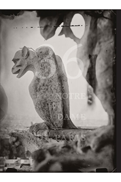 Radius Books Tomas Van Houtryve: 36 de vederi ale Catedralei Notre Dame