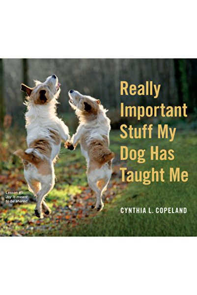 Workman Pub Co Lucruri cu adevărat importante pe care m-a învățat câinele meu