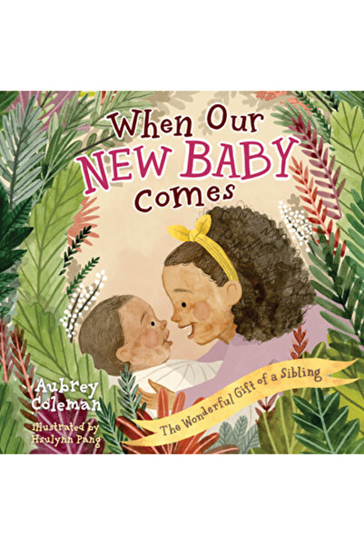 B&H Pub Group When Our New Baby Comes: The Wonderful Gift of a Sibling