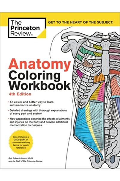 Princeton Review Caiet de lucru de colorat pentru anatomie, ediția a 4-a