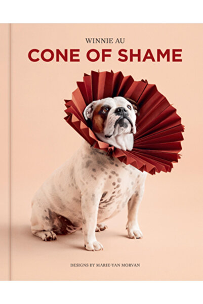 Union Square & Co Conul Rușinii