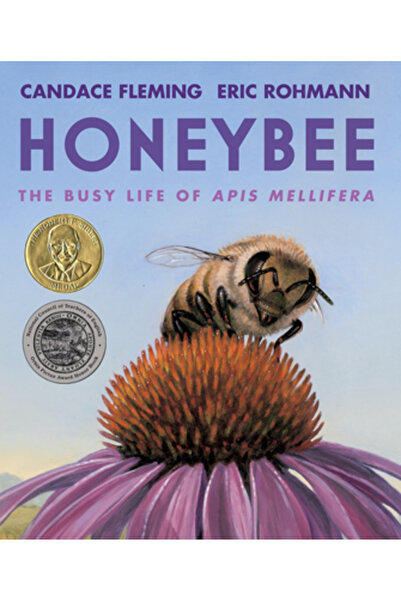 Neal Porter Books Albina meliferă: Viața aglomerată a API-urilor Mellifera