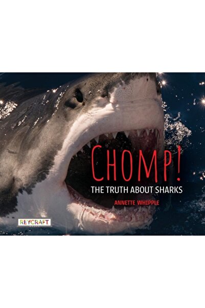 Reycraft Books Chomp! Adevărul despre rechini