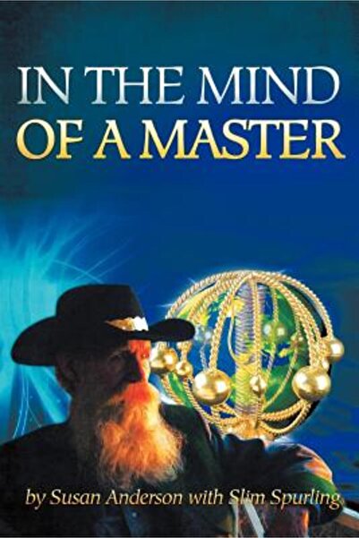Addison Wesley Pub Co Inc În mintea unui maestru