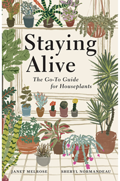 Touchwood Ed Cum să rămâi în viață: Ghidul esențial pentru plante de apartament