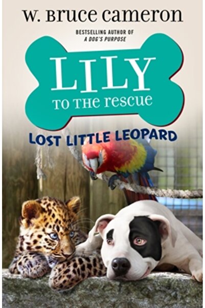 Starscape Lily la salvare: Micul leopard pierdut