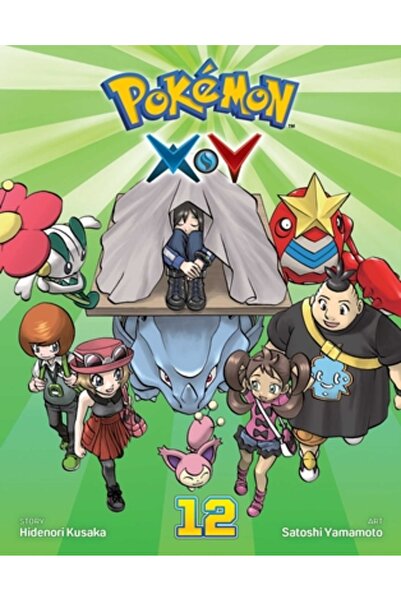 Viz Kids Pokemon X-Y, Vol. 12