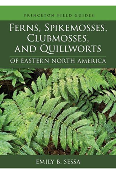 Princeton Univ Pr Ferigile, mușchii de spicul, licopodii și ierburile spinoas...