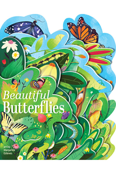 Gibbs Smith Pub Fluturi frumoși