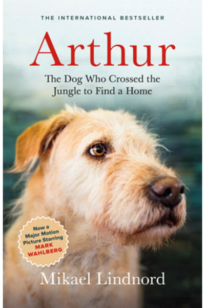 GREYSTONE Arthur: Câinele care a traversat jungla pentru a-și găsi o casă