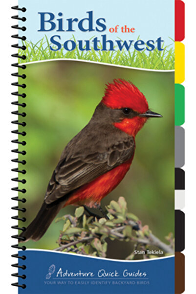 Univ Of California Pr Păsările din sud-vest