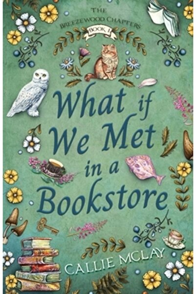 INDEPENDENT CAT Ce-ar fi dacă ne-am întâlni într-o librărie