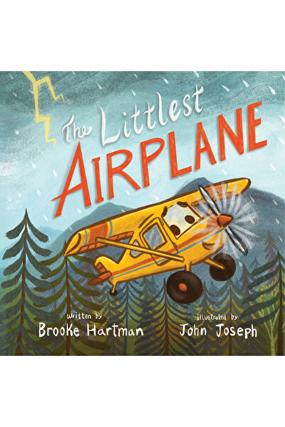 Alaska Northwest Books Cel mai mic avion