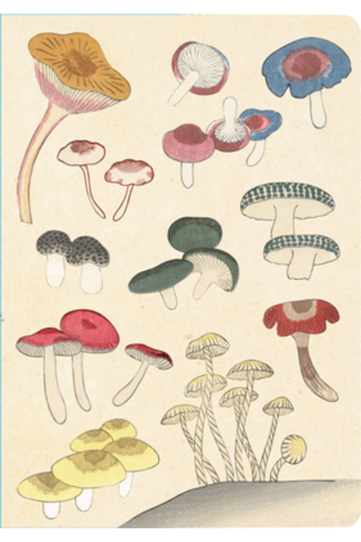 Tuttle Pub Jurnal cu model japonez în valuri, format broșat: liniare: 5 3/4 x...