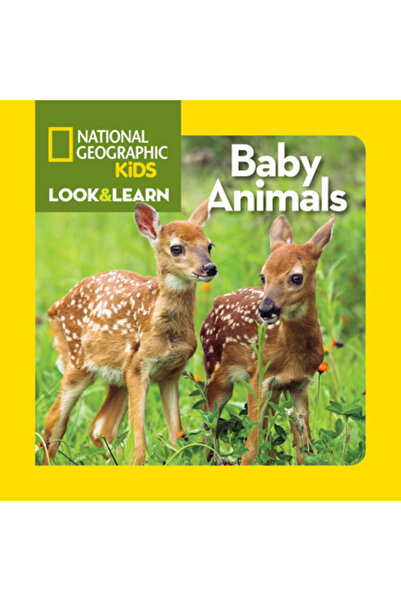 Museum Of New Mexico Pr Baby Animals