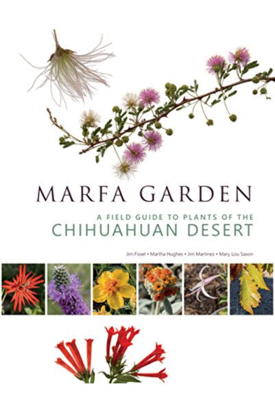 Maverick Books Grădina Marfa: Un ghid de teren pentru plantele din deșertul C...