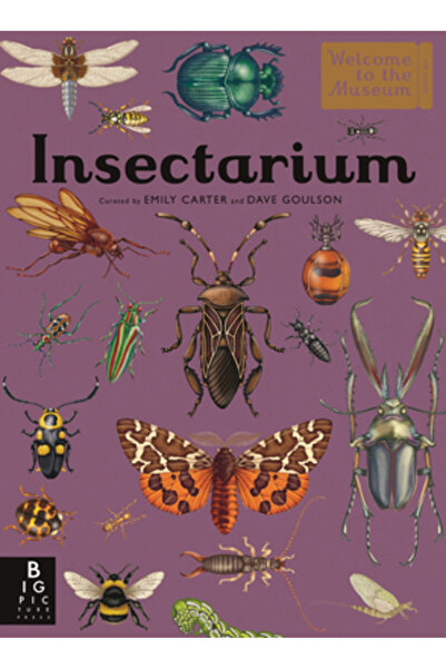 Big Picture Pr Insectarium: Bun venit la muzeu