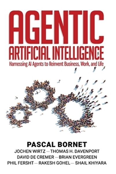 INDEPENDENT CAT Inteligența artificială agentică: valorificarea agenților IA ...