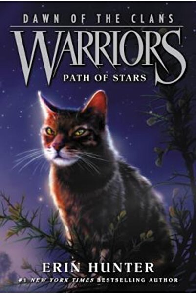 Harper Collins Warriors: Dawn of the Clans #6: Path of Stars